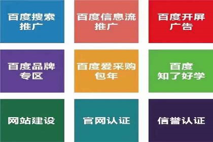 揭秘百度竞价排名：实战案例解析